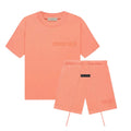 Ensemble Essentials — Corail